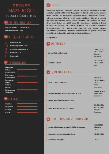 Felsefe Öğretmeni CV Örnekleri cv indir